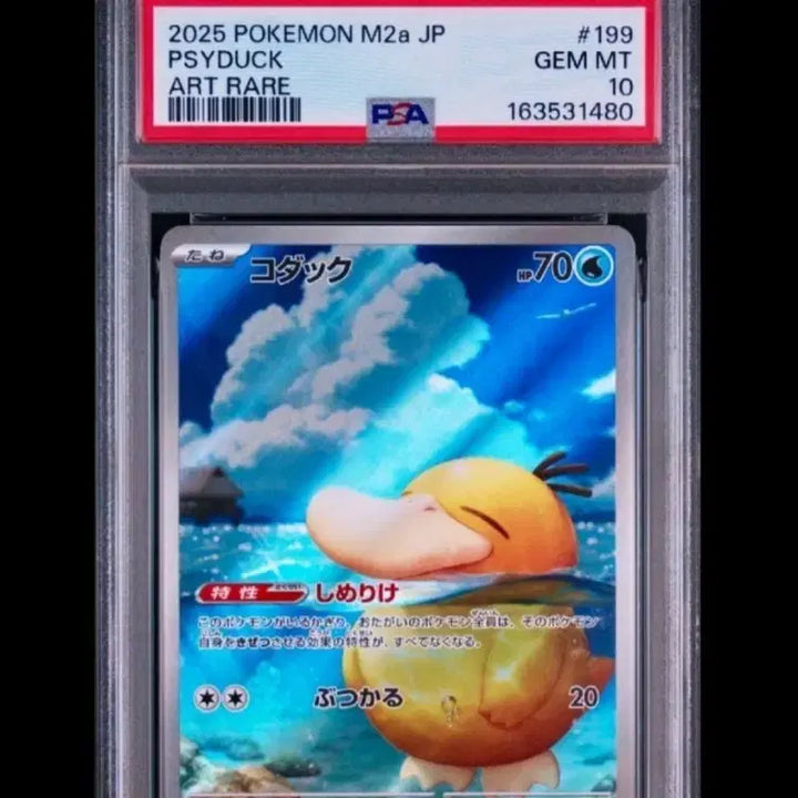 [BUNJANG] 2025 Pokemon Psyduck Art Rare PSA 10 Graded Card / 2025 포켓몬 고라파덕ar 아트레어 PSA 10