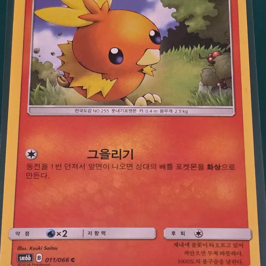 [BUNJANG] Pokemon Card Torchic 011/066 / 아차모 011 066  sm6b포켓몬카드