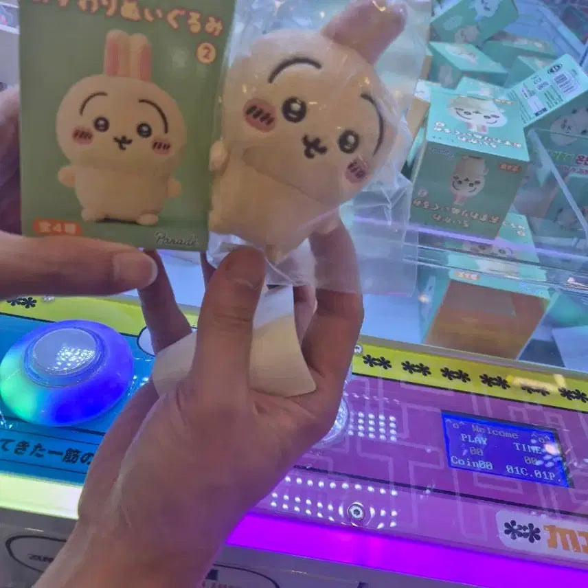 [BUNJANG] Chiikawa Usagi Sitting Plush / 치이카와앉은누이 우사기앉은누이 앉은누이2탄