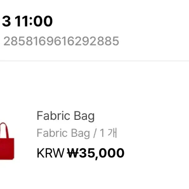 [BUNJANG] CORTIS Fabric Bag / CORTIS 코르티스 Fabric Bag (패브릭백)