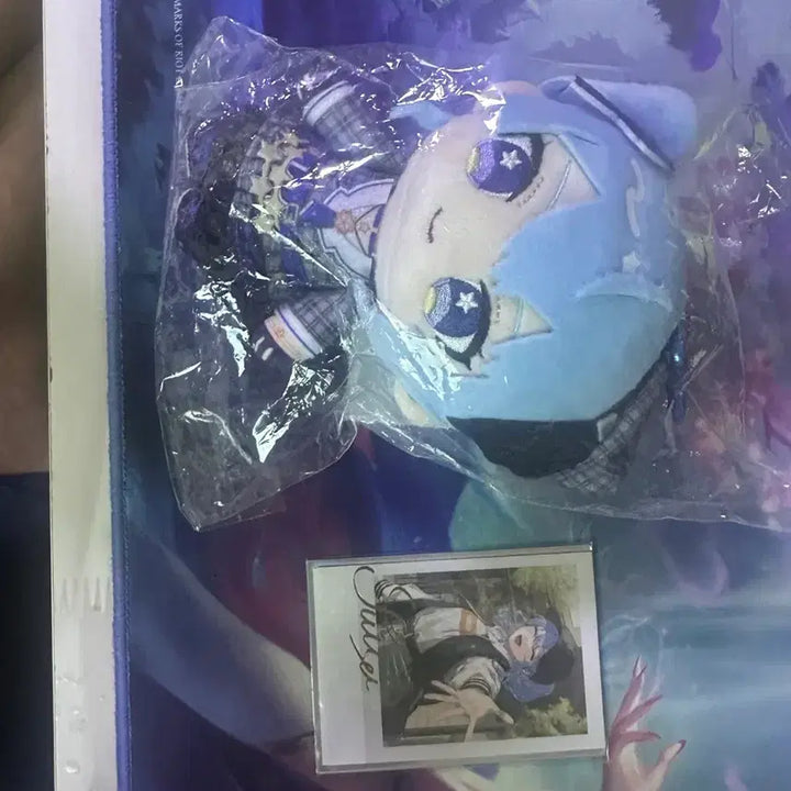 [BUNJANG] Suisei Hoshimachi 6th Anniversary Plush and Photocard Set / 스이세이 6주년 인형 및 카드 급처