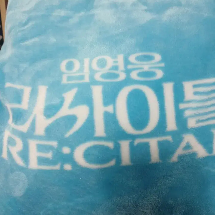 [BUNJANG] Im Hero Seoul 2025 Limited Edition Blanket, Cushion &amp; Pillow Set / 한정판) 임영웅 리사이틀 2025 담요&amp;쿠션 베개 맨뒤에 것도 다드려요 영웅시대 무나무료나눔