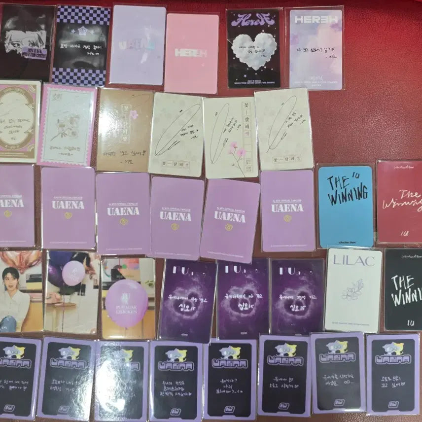 [BUNJANG] IU Bundle Set Photocard / 아이유 포토카드 일괄