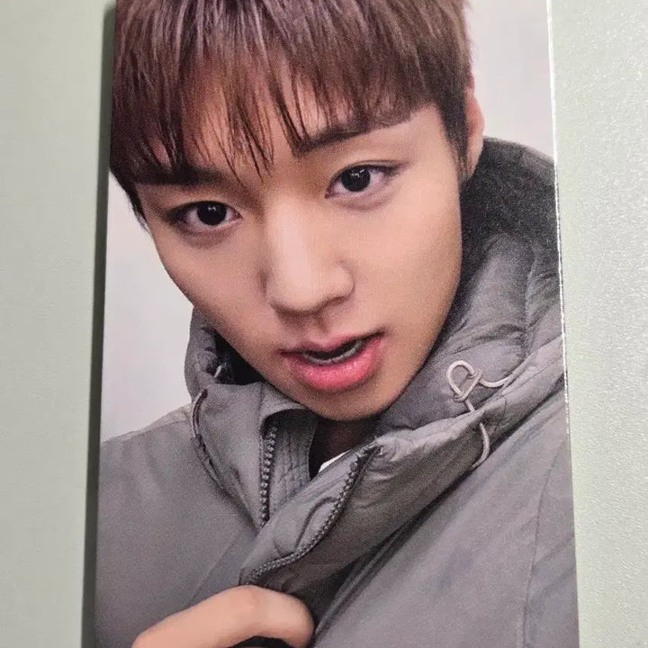 [BUNJANG] Park Jihoon Superdry Photocard / 박지훈 슈퍼드라이 포카