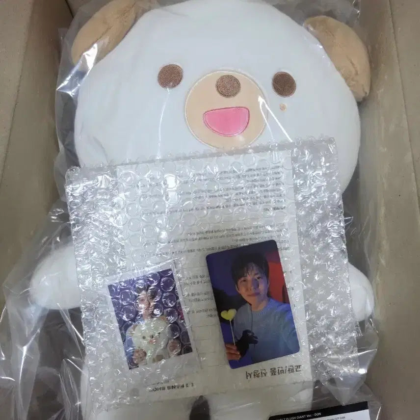 [BUNJANG] JYP Entertainment "Don" Doll (Sealed) / 자쁘멀 돈 (미개봉)