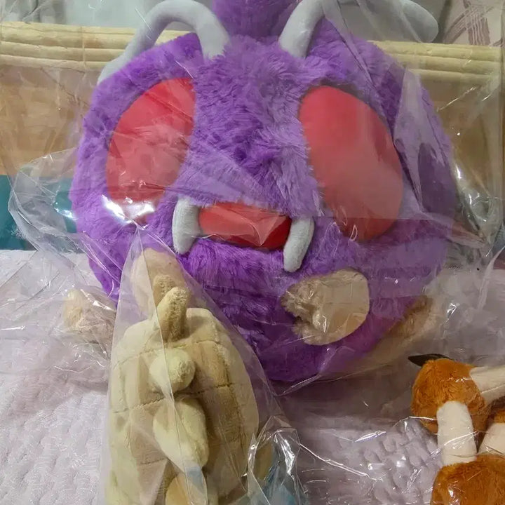 [BUNJANG] Pokemon Confag, Amaura, Dwebble Plush Bundle Set / 포켓몬스터 콘팡 암나이트 두트리오 인형 일괄