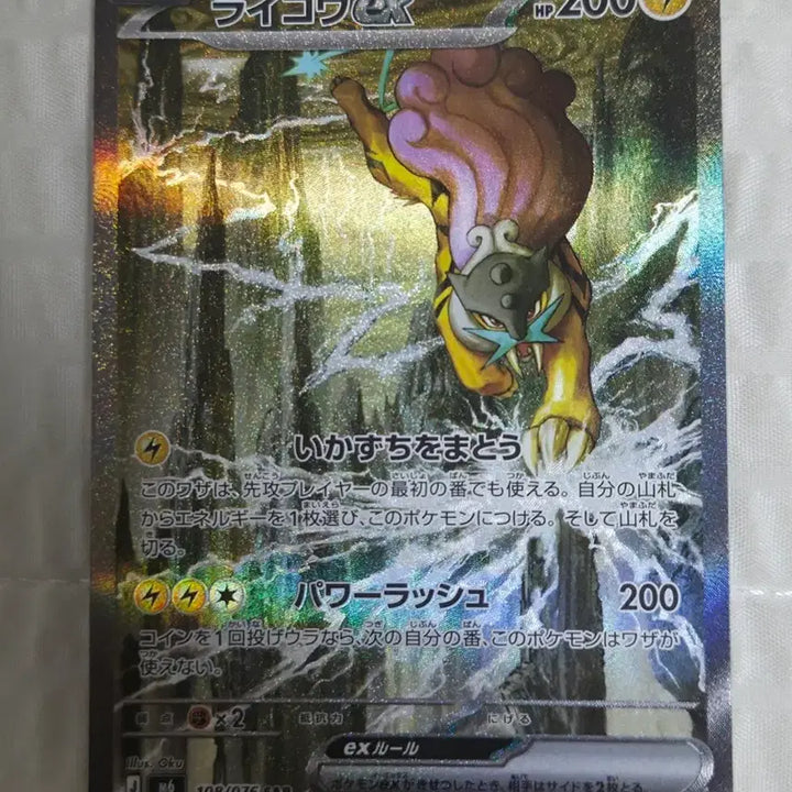 [BUNJANG] RAIKOU SAR Graded Card / 일판 라이코 SAR 등급용