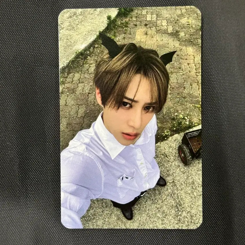 [BUNJANG] Arno 2nd Album Showcase Reverse Support Photocard / 알디원 아르노 2집 쇼케이스 역조공 포카