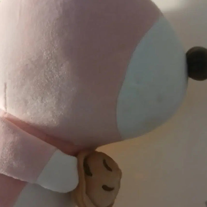 [BUNJANG] Bonobono Member Doll / 보노보노 인현
