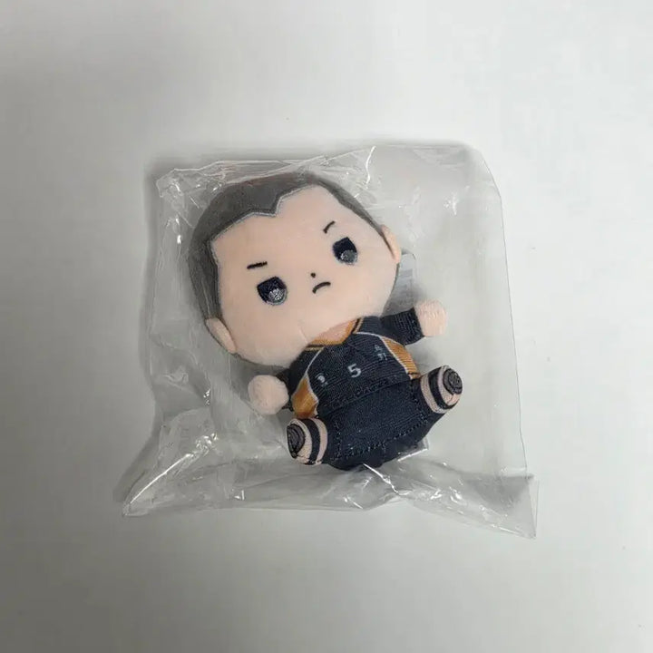 [BUNJANG] Haikyuu!! Mochibi Tanaka Ryunosuke Plush Doll / 하이큐 모치비 타나키 류노스케 누이 인형