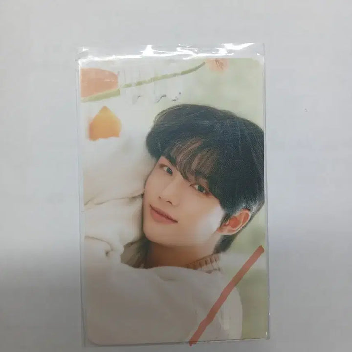 [BUNJANG] Nessif Jinhyeon Photocard / 네시픽 현진 포카 팔아욤