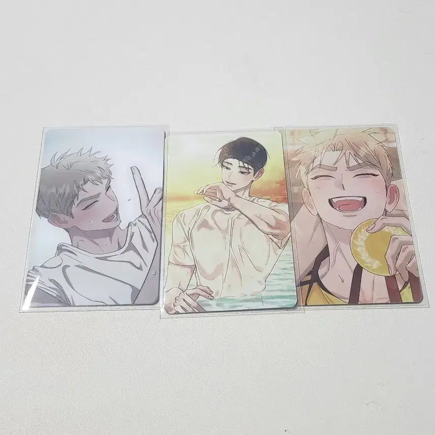 [BUNJANG] Hongsil Quest Popup Hongkwe Bundle Set Photocard / 홍실퀘스트 팝업 홍퀘 포카 일괄 양도