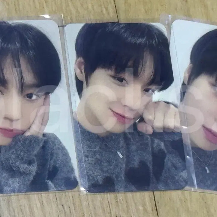[BUNJANG] Park Jihoon 2023 Birthday Cafe Photocard Bundle Set / 박지훈 2023 생일카페 포토카드(3장 일괄)