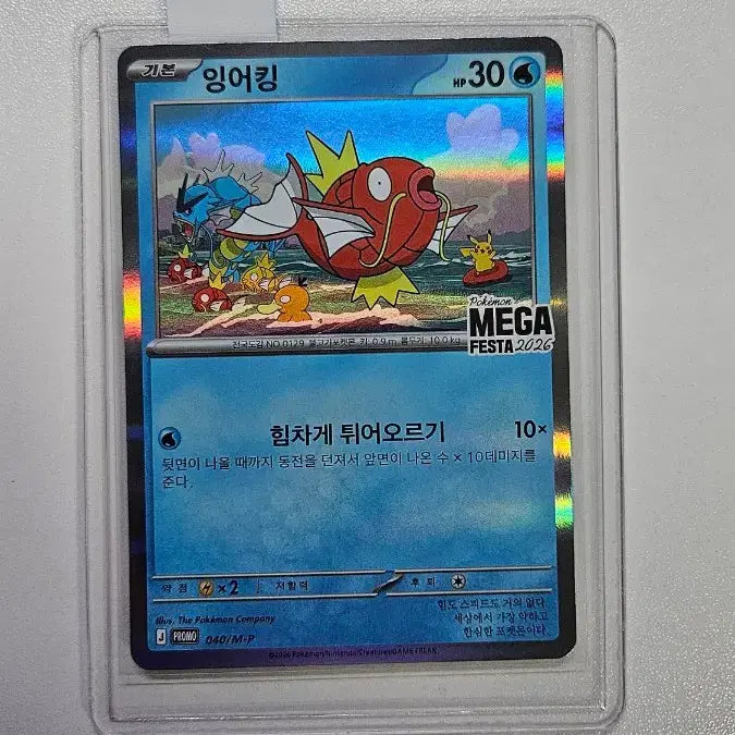 [BUNJANG] Pokemon Magikarp Promo Card Set (2) / 포켓몬 카드 잉어킹 프로모카드 2장(일괄