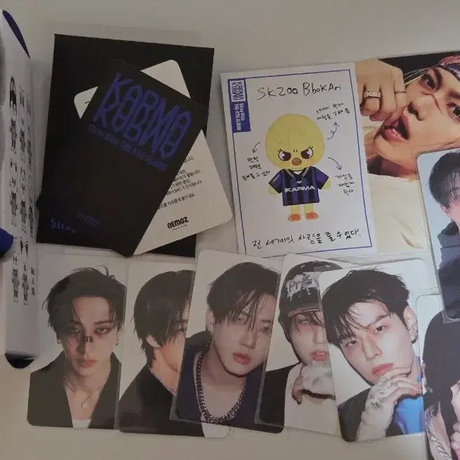 [BUNJANG] Stray Kids SKZOO Karma Album Wolf Chan Plush / 스트레이키즈 스키주 카르마앨범 울프찬 양도합니다