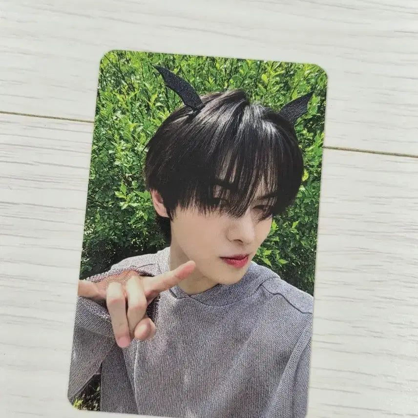 [BUNJANG] ALPHADRIVEONE Rio Photocard / 알파드라이브원 알디원 쇼케이스 리오 포카.