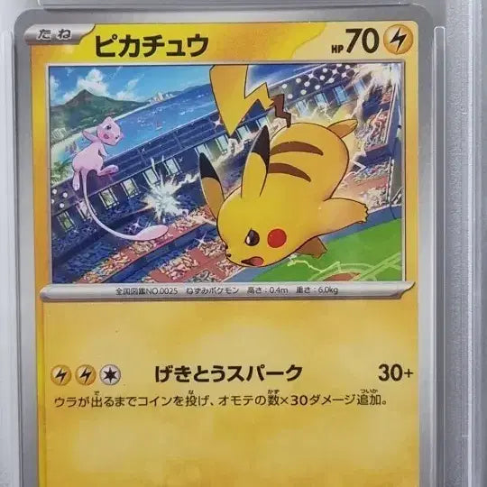 [BUNJANG] Pokemon Pikachu Gym Promo Card PSA 10 / 포켓몬 2024 피카츄 짐 프로모 psa10