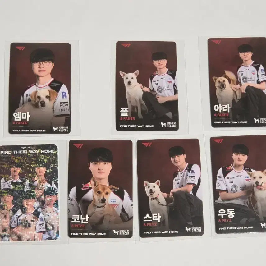 [BUNJANG] T1 Faker &amp; Peyz Photocard Bundle Set / T1 티원 홈그라운드 홈그 kk9r 강아지 페이커 faker 페이즈 peyz 포카 판매