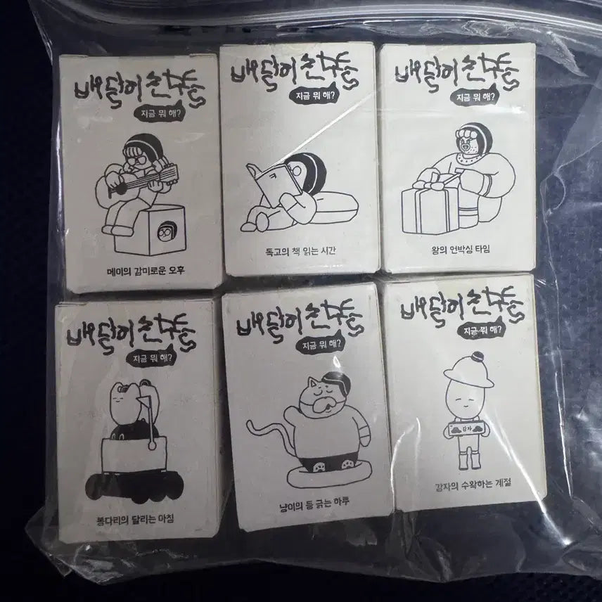 [BUNJANG] Baedali Friends 6-Piece Set (Unsealed) / 배달이 친구들 6종 세트 미개봉