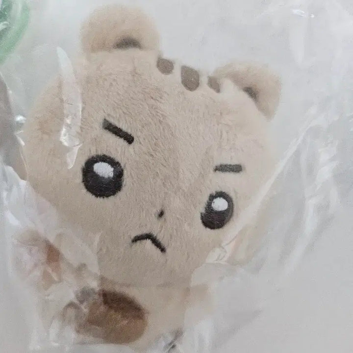 [BUNJANG] LUCY Choi Sang Yeop Squirrel Plush Doll (Yeoptori) / 미개봉 루시 LUCY 최상엽 솜깅 인형 엽톨이 다람쥐