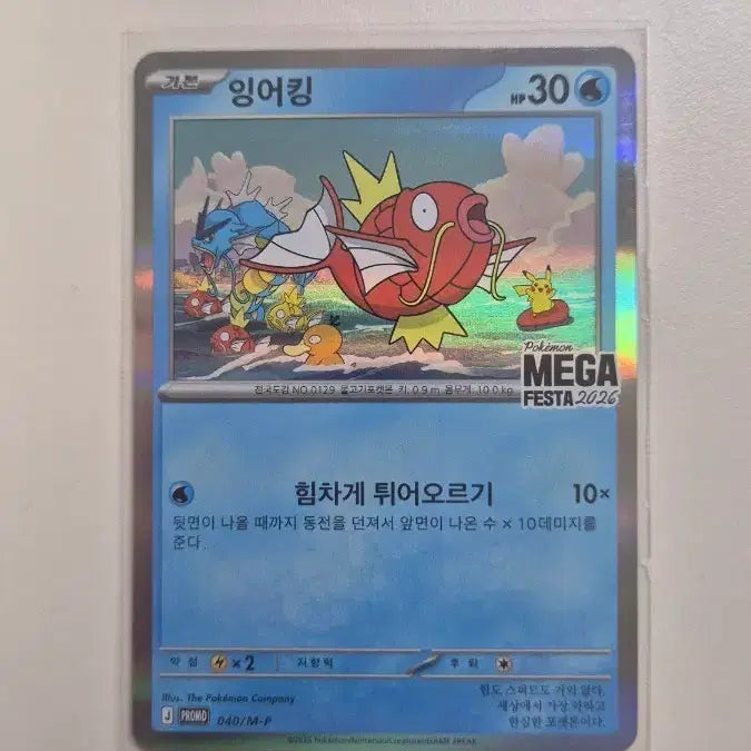 [BUNJANG] Gyarados Promotional Pokemon Card / 잉어킹 프로모카드 포켓몬카드
