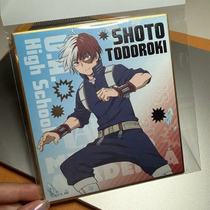 [BUNJANG] My Hero Academia Shoto Todoroki Shikishi (Sealed) / 미개봉 나히아 히로아카 토도로키 쇼토 색지 나의 히어로 아카데미아