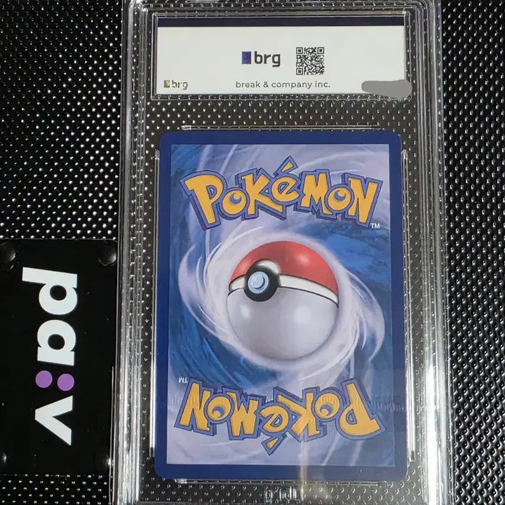[BUNJANG] Pokemon 2024 Celebration Fanfare Card / 포켓몬 2024년 축하팡파레