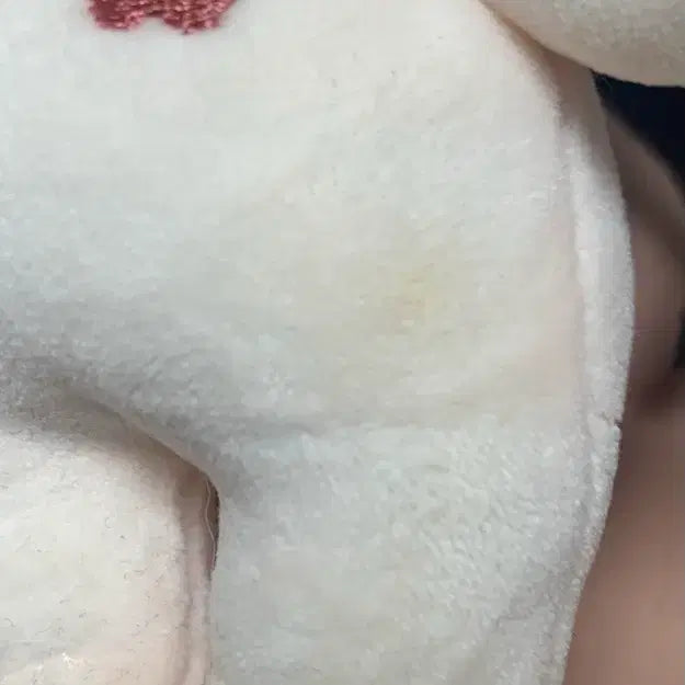 [BUNJANG] Hwasan Returns Cheongmyeong Plush Doll (Minor Imperfections) / 화산귀환 청명 비공굿 인형(약간의 하자)