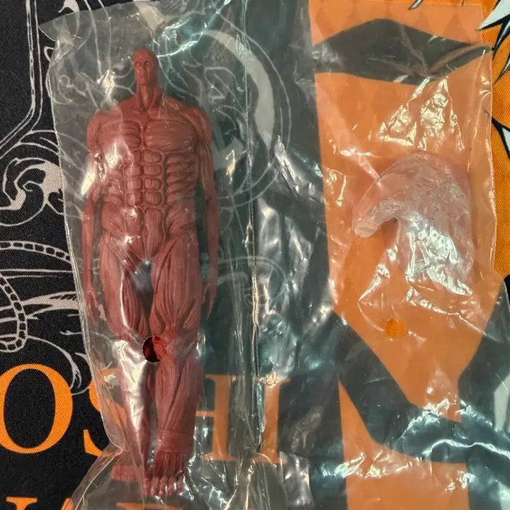 [BUNJANG] Attack on Titan Wall Titan Ichiban Kuji Prize I (Sealed) / 진격의 거인 제일복권 벽거인 i상 미개봉
