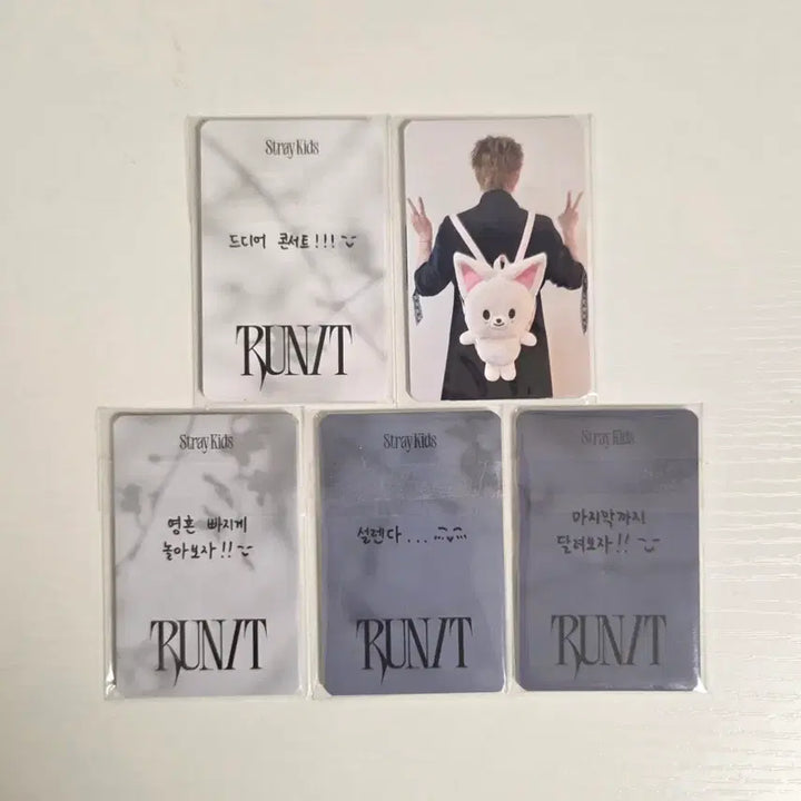 [BUNJANG] Stray Kids Concert Entry Photocard Set Bundle Set 40 pcs / 스트레이키즈 콘서트 입장 포카세트 40장 일괄