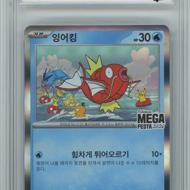 [BUNJANG] Pokemon Magikarp Promo Card BRG Grade 9 / 포켓몬카드 잉어킹 프로모 BRG9