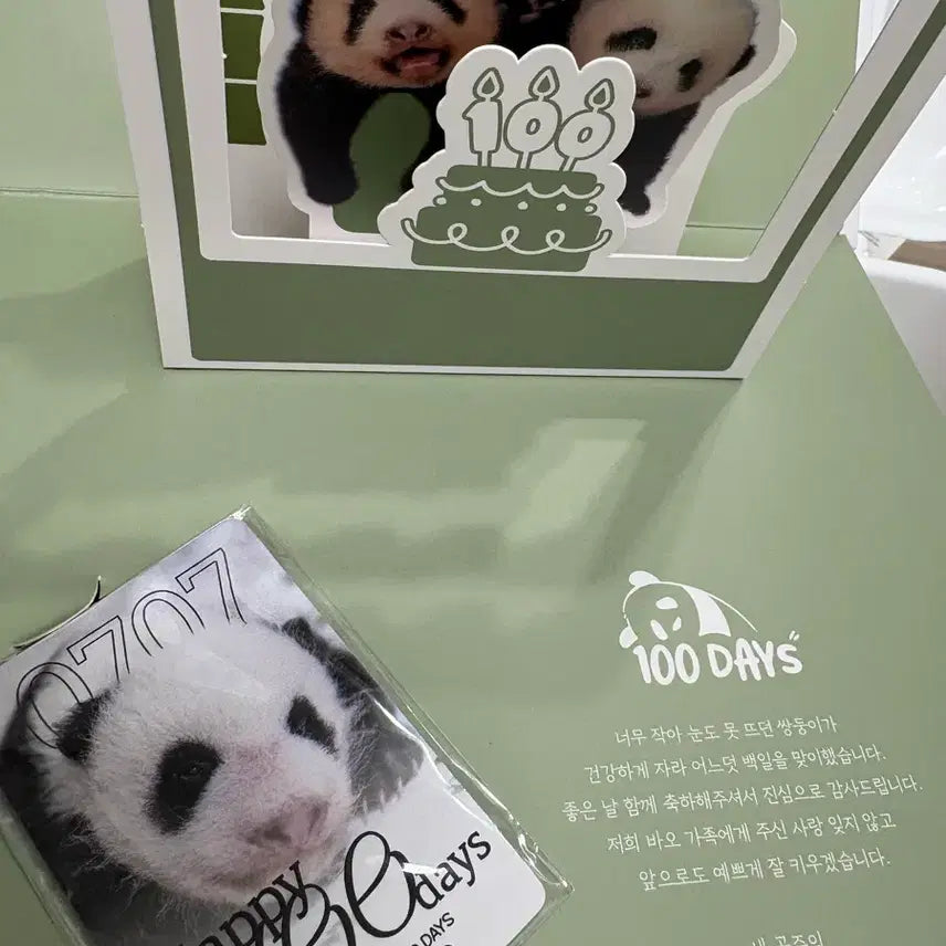[BUNJANG] Louis the Panda 100th Day Commemorative Towel / 루이후이 100일 초대수건 상세컷