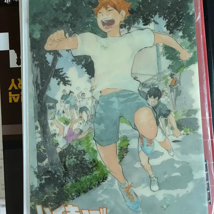 [BUNJANG] Haikyuu!! Karasuno Clear File Folder A4 Size / 하이큐 카라스마 책받침 클리어보드 a4 사이즈