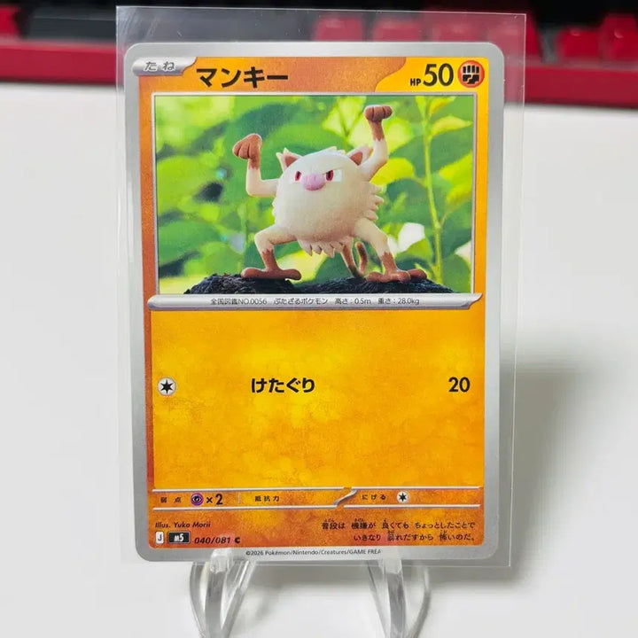 [BUNJANG] Pokemon Card Manki Artist Yukamori / (일판) 포켓몬카드 유카모리 작가 망키