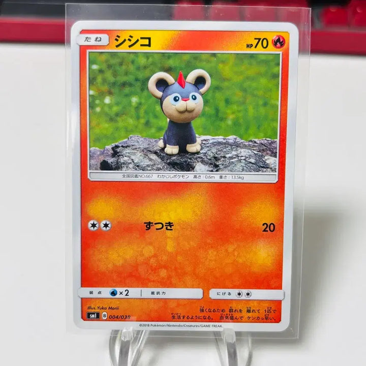 [BUNJANG] Pokemon Card Yuka Mori Illustrator Reocc Set / (일판) 포켓몬카드 유카모리 작가 레오꼬