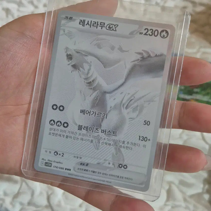 [BUNJANG] Pokemon Card High-Grade &amp; Ungraded Cards / 포켓몬카드고레어카드미등급카드