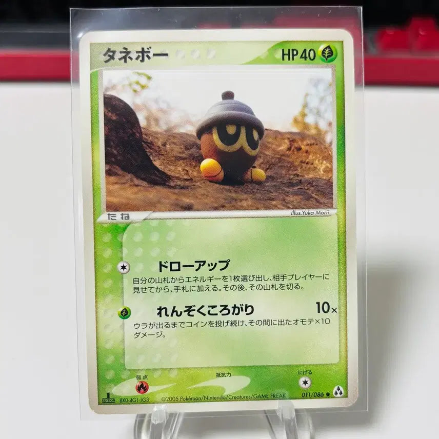 [BUNJANG] Pokemon Card Dotoring (Artist Yukamori) / (일판) 포켓몬카드 유카모리 작가 도토링