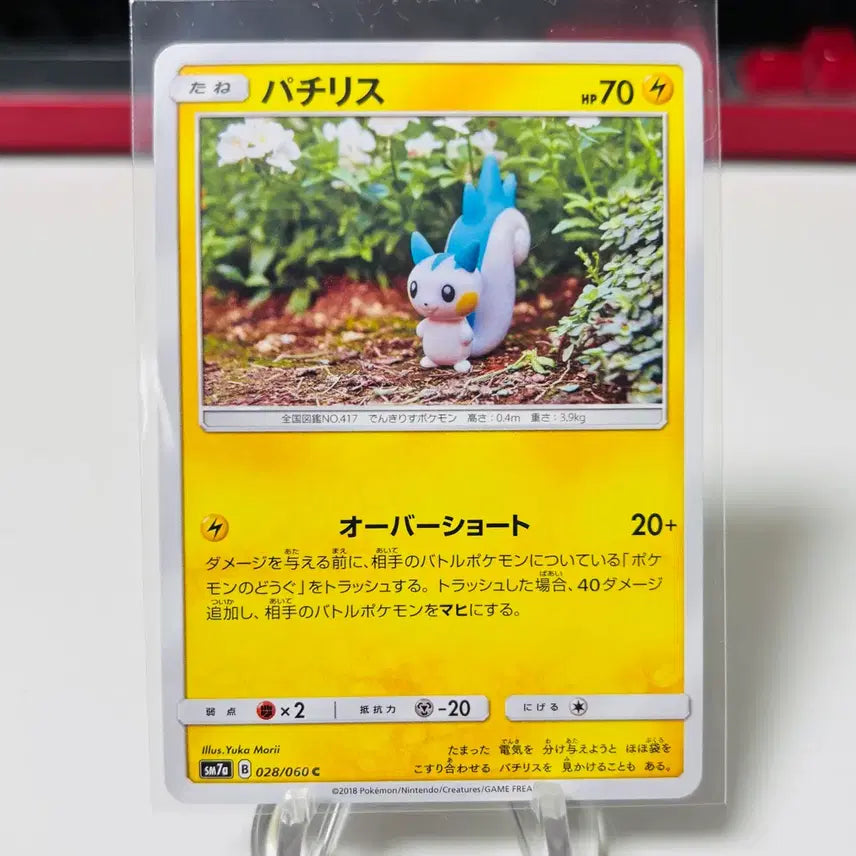 [BUNJANG] Pokemon Card Pachirisu (Artist: Yukamori) / (일판) 포켓몬카드 유카모리 작가 파치리스