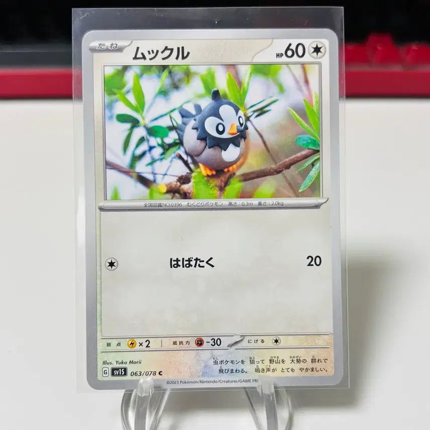 [BUNJANG] Pokemon Card Yucomori Illustrator Scraggy / (일판) 포켓몬카드 유카모리 작가 찌르꼬