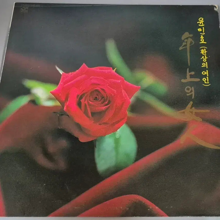 [BUNJANG] Yoon Min Ho LP Record / 윤민호  LP판