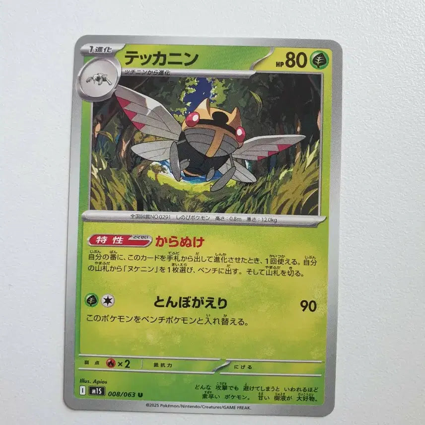 [BUNJANG] Japanese Pokemon Card - Ice Type / 일판/아이스크 포켓몬카드