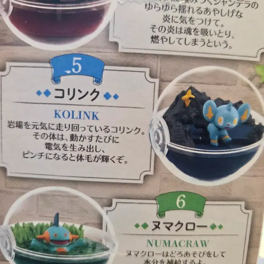 [BUNJANG] Re-Ment Pokémon Terrarium Collection 12 Lucario Figure / 포켓몬 테라리움 컬렉션 12 꼬링크 피규어 리멘트