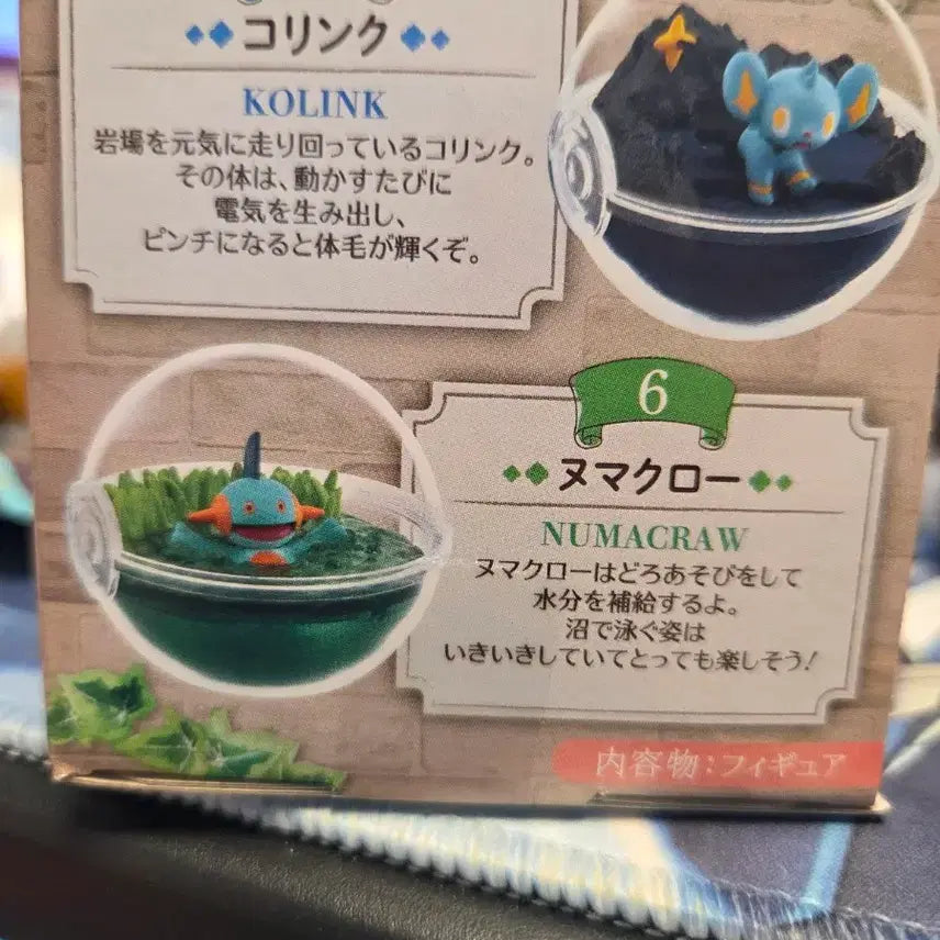 [BUNJANG] Pokemon Terrarium Collection 12 Marshtomp Figure / 포켓몬스터 리멘트 테라리움 컬렉션 12 늪짱이 피규어