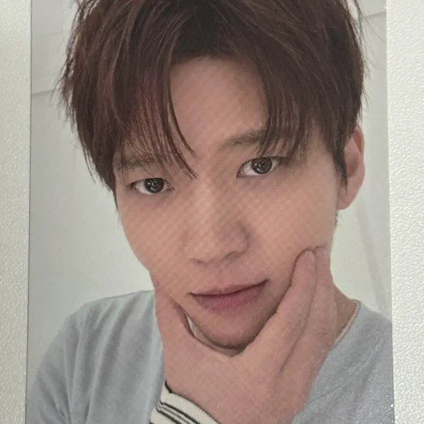 [BUNJANG] INFINITE Nam Woo Hyun Card Holder Photocard MD / 인피니트 남우현 카드지갑 엠디 포카