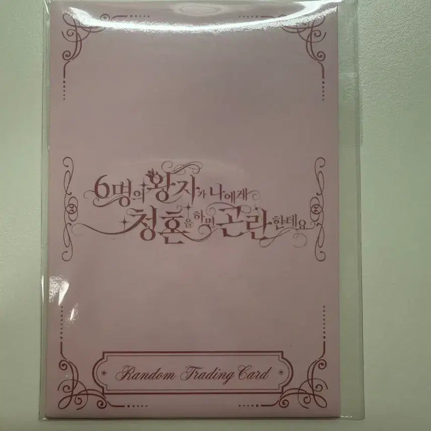 [BUNJANG] Wish Fanmeeting Trading Card Riku Yuushi / (개봉-구성그대로) 위시 팬미팅 트레카 리쿠 유우시
