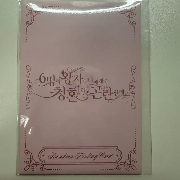 [BUNJANG] Wish Fanmeeting Trading Card Riku Yuushi / (개봉-구성그대로) 위시 팬미팅 트레카 리쿠 유우시