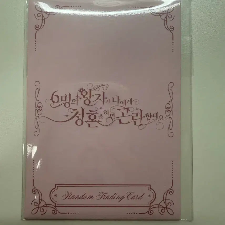 [BUNJANG] Wish Fanmeeting Trading Card Riku Yuushi / (개봉-구성그대로) 위시 팬미팅 트레카 리쿠 유우시