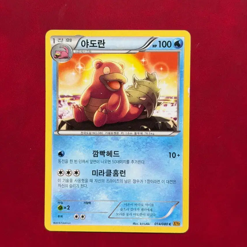 [BUNJANG] Pokemon Yell Dragon 014/080 XY / 포켓몬 고대 카드 야도란 미라클홈런 014/080 XY