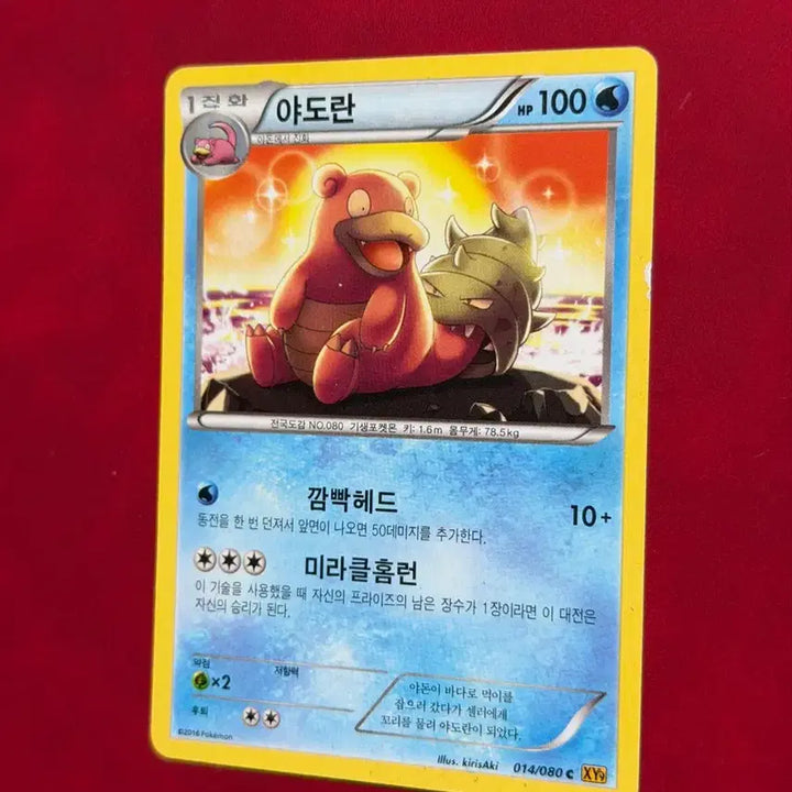 [BUNJANG] Pokemon Yell Dragon 014/080 XY / 포켓몬 고대 카드 야도란 미라클홈런 014/080 XY