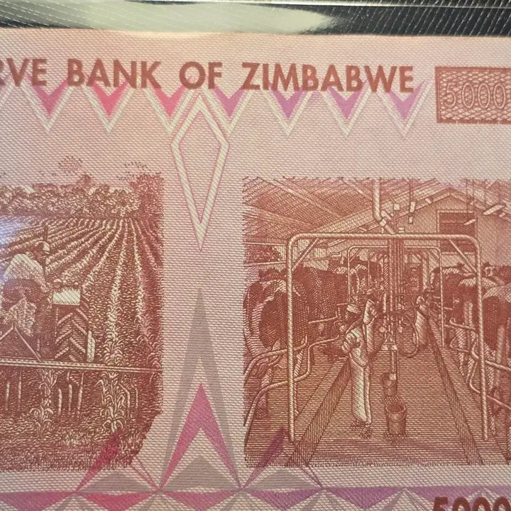 [BUNJANG] Zimbabwe 50 Billion Dollar Banknote, 2008, Uncirculated / 초고액권 짐바브웨 50억달러 지폐, 2008년, 극미품